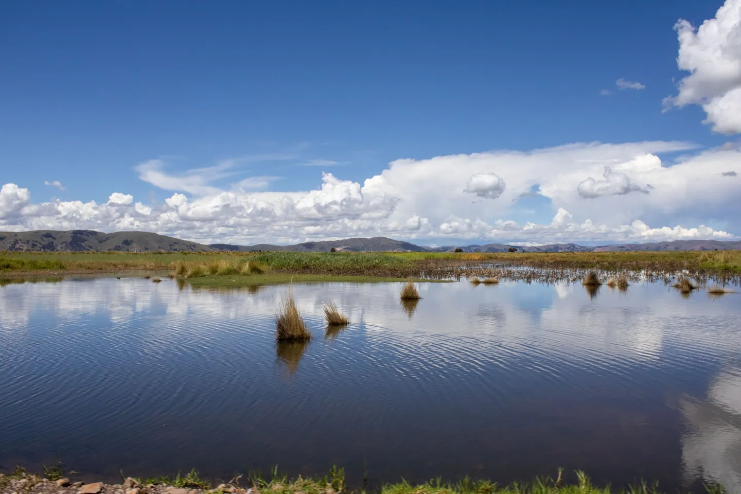 Humedal, agua y montañas en Puno, Perú.